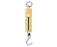 Spring Scale, Hanging, x , 20kg